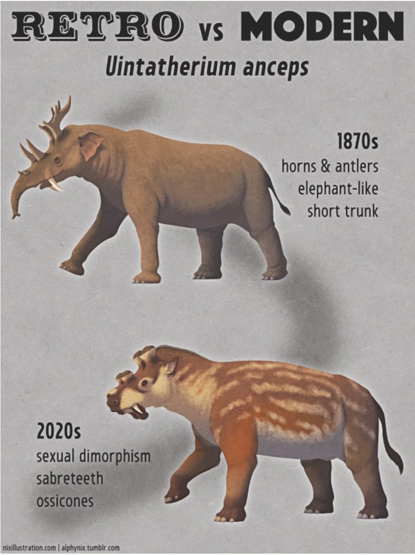 Uintatherium anceps