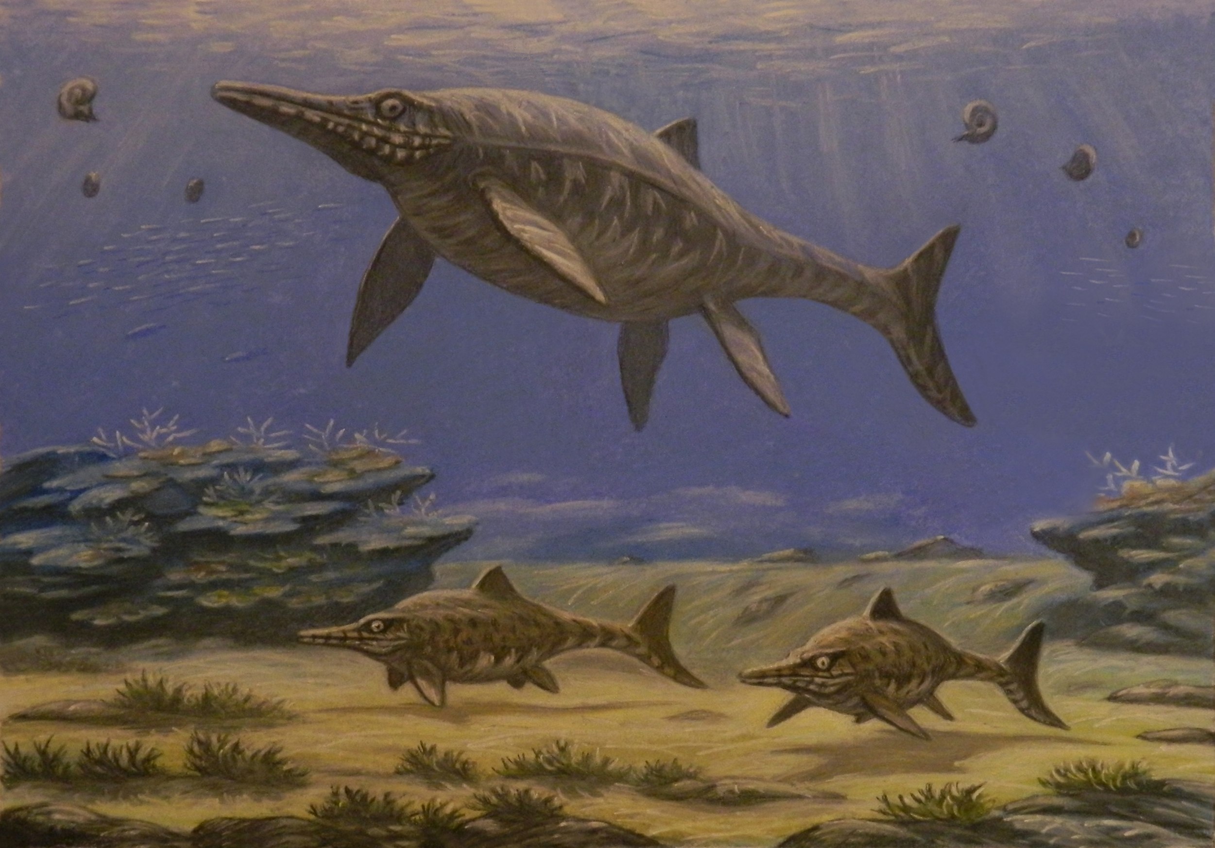 Морской ихтиозавр. Ихтиозавр Эра. Ихтиозавры Юрского периода. Ящер Ихтиозавр. Ихтиозавр Шонизавр.