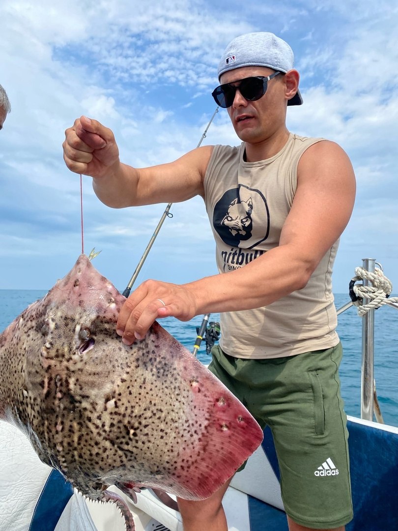 Хвостокол тортонезе