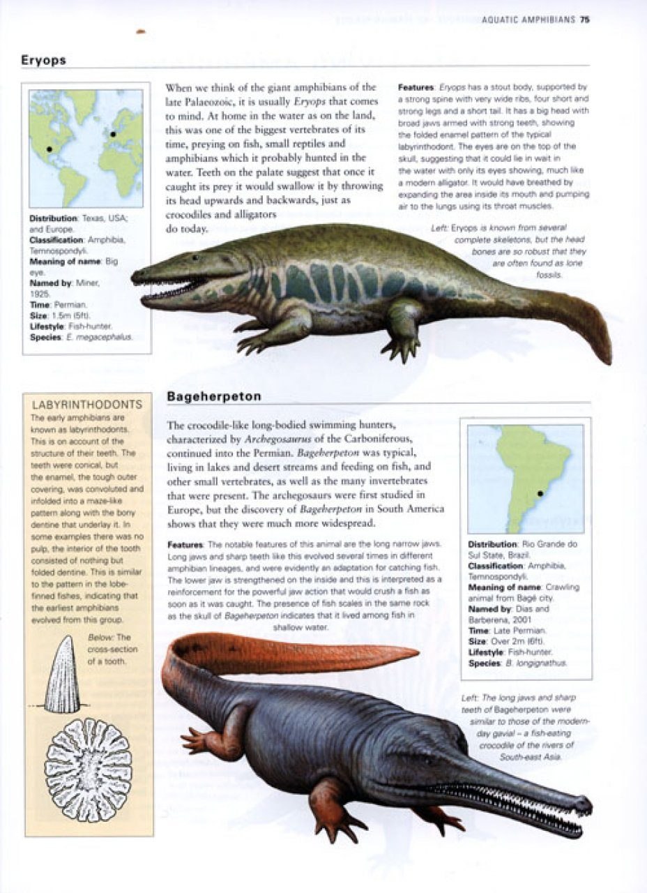 Dougal Dixon Encyclopedia of Dinosaurs Prehistoric creatures