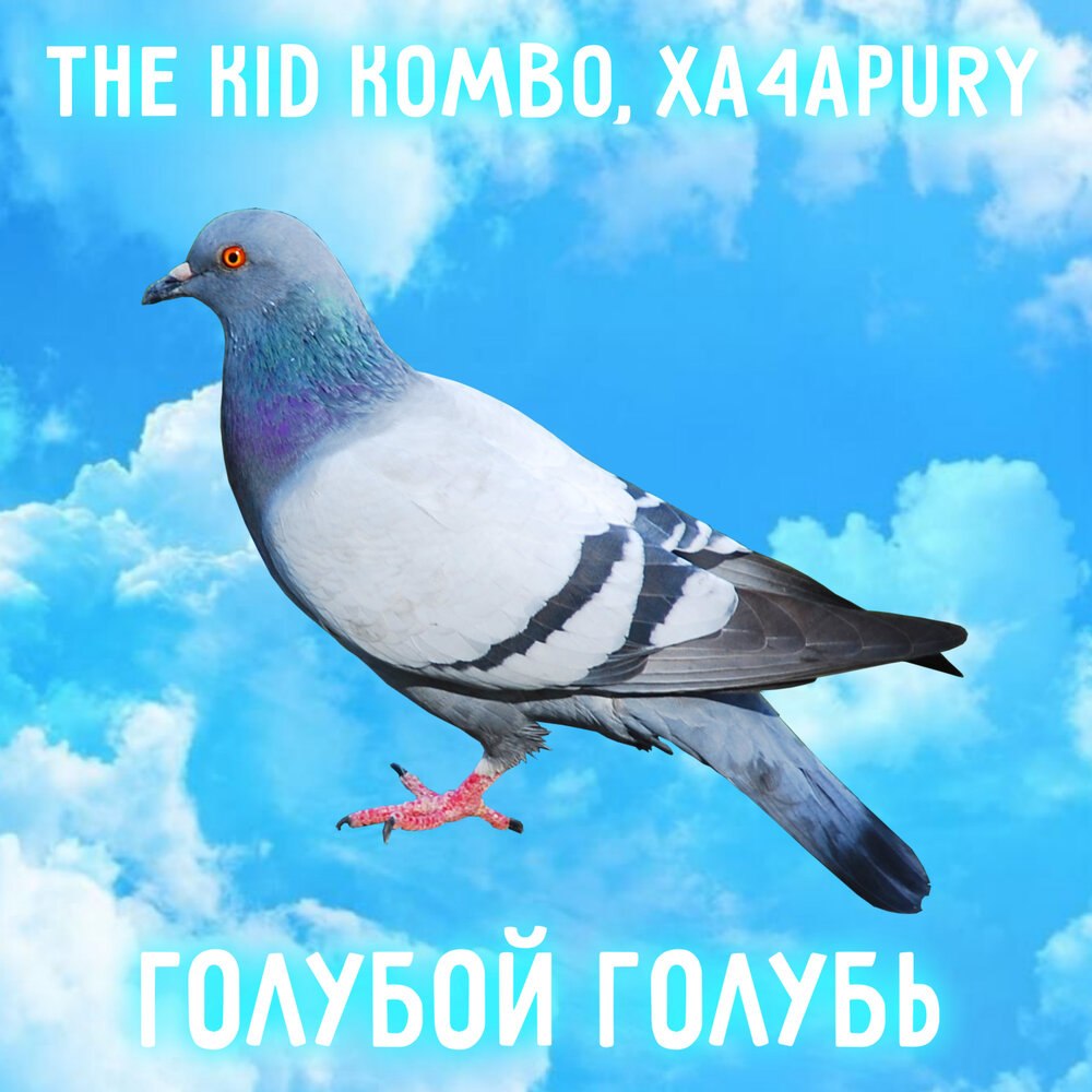 Школьный дневник голубь голубой