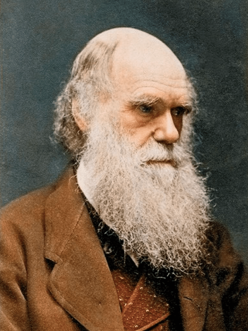 Чарльз Дарвин (1809-1882, Англия)