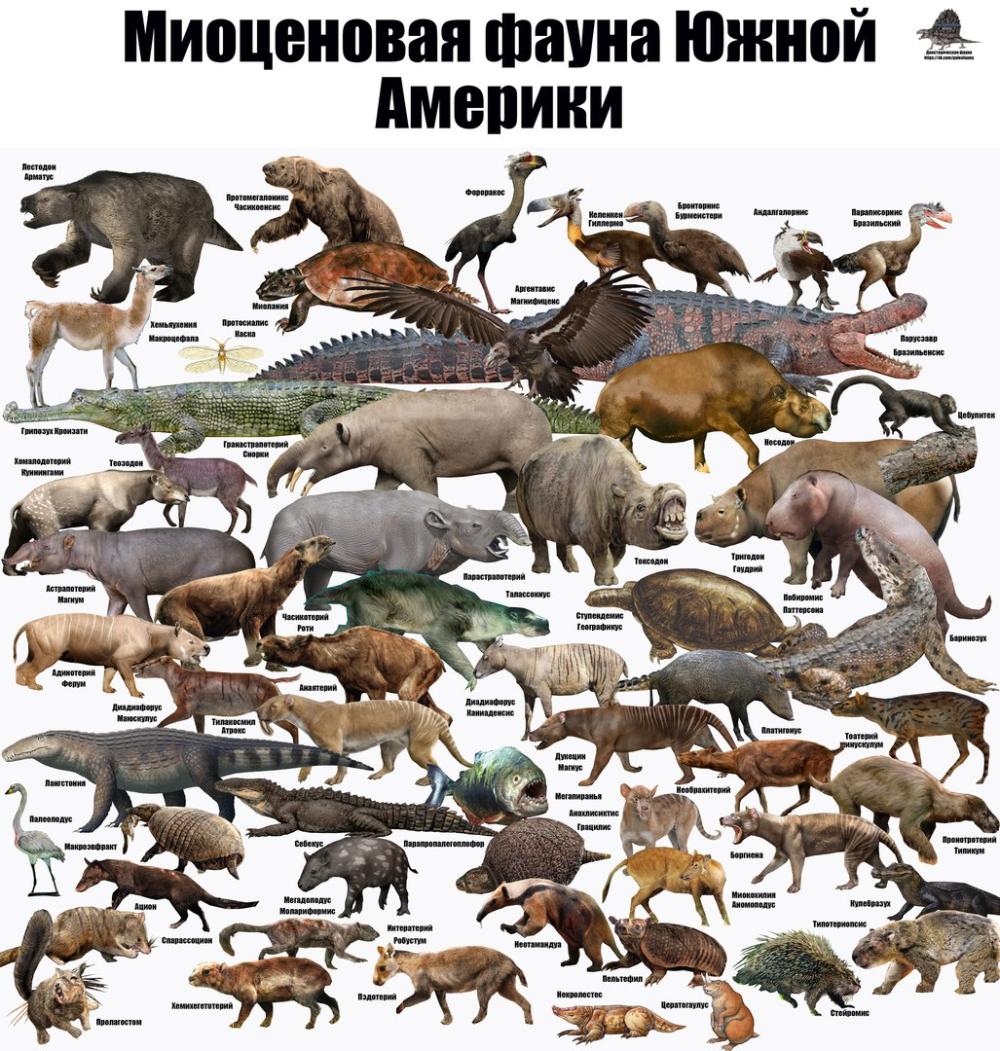 Плейстоценовая мегафауна Северной Америки