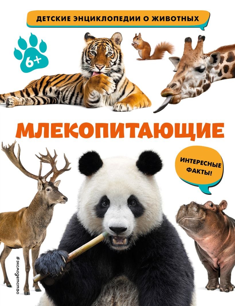 Млекопитающие solenodon marcanoi