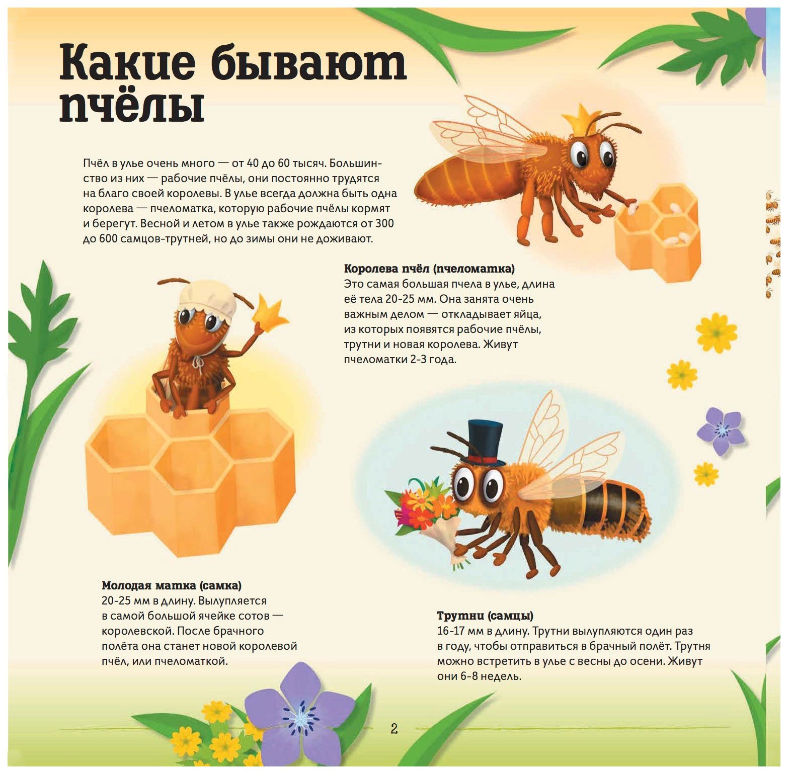 Пчелы для дошкольников. Детям о пчелах для дошкольников. Книги про пчел для детей. Пчела для детей. Пчеловодство для детей.
