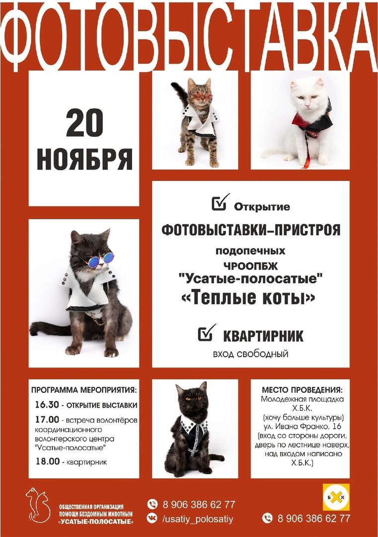 Усатый центракант