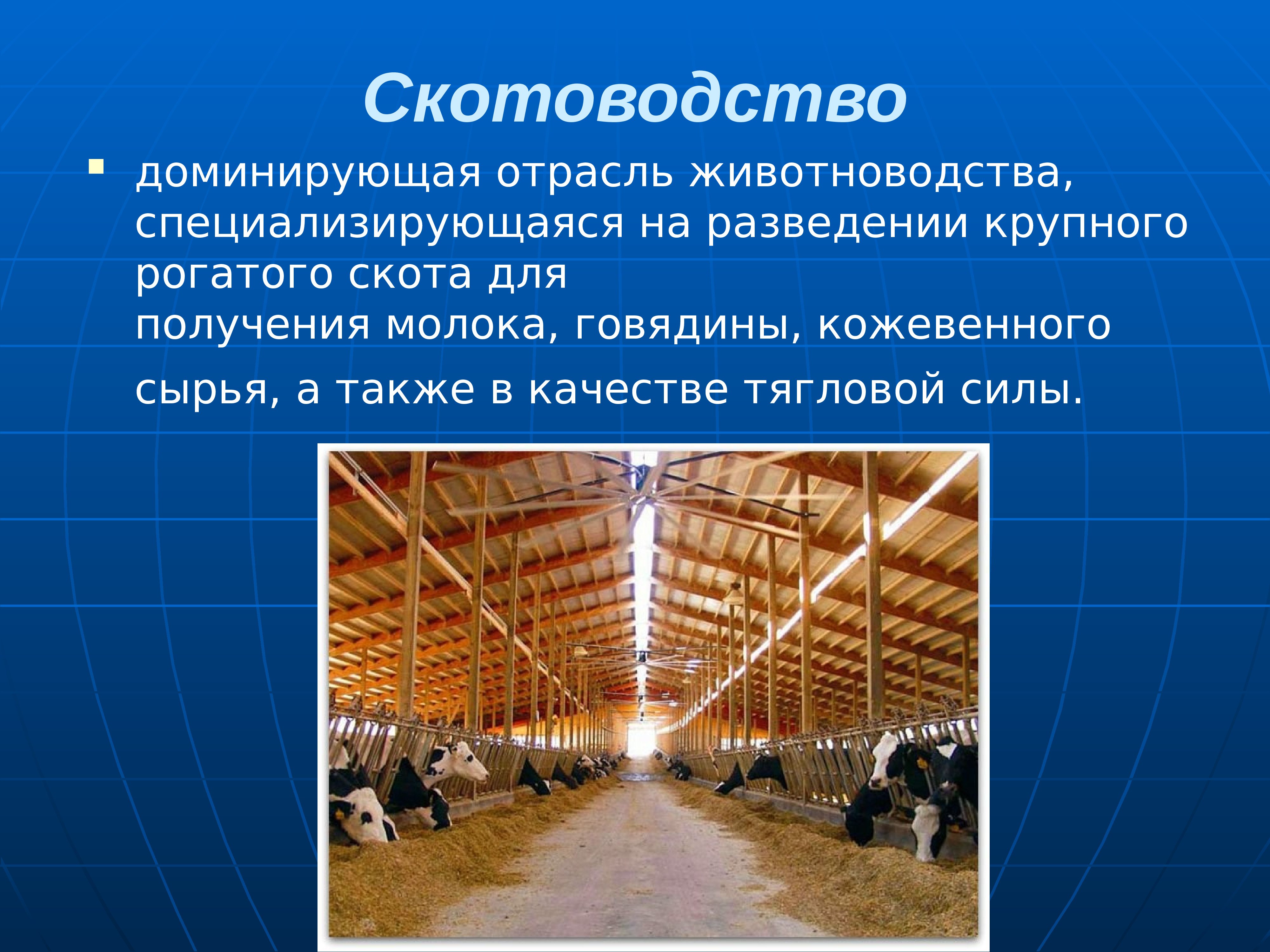 Для центральной россии характерно скотоводство. Скотоводство отрасль животноводства. Животноводство презентация. Презентация отрасли животноводства. Презентация на тему скотоводство.