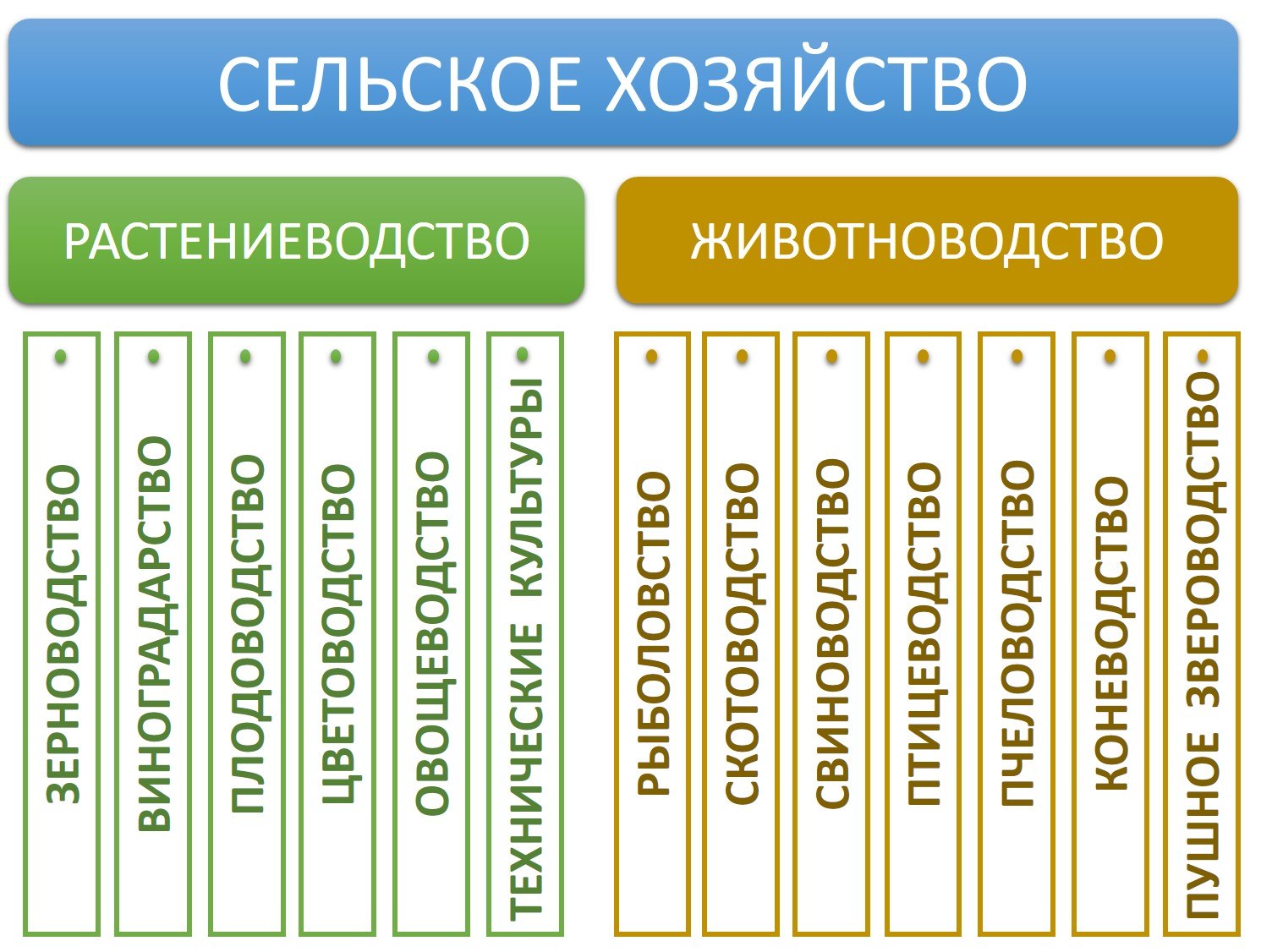 Отрасли животноводства - картинки и фото poknok.art