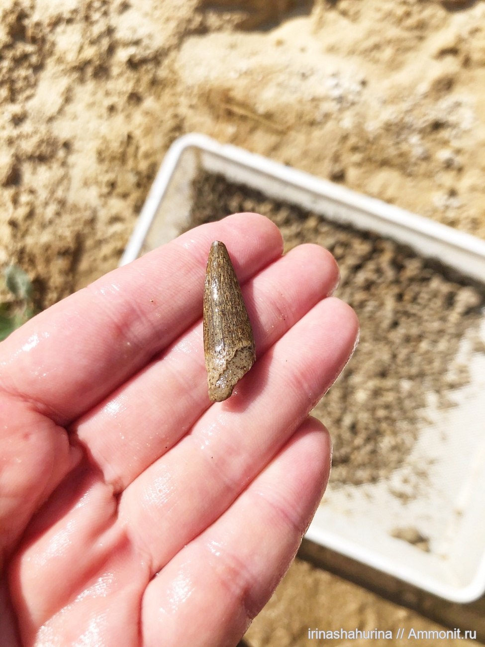 Малый пролом Рязанская область