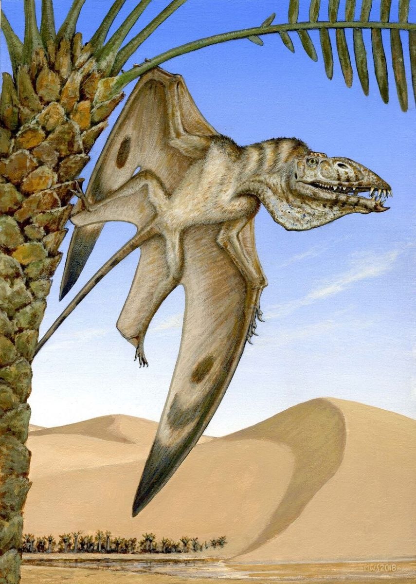 Caelestiventus Hanseni