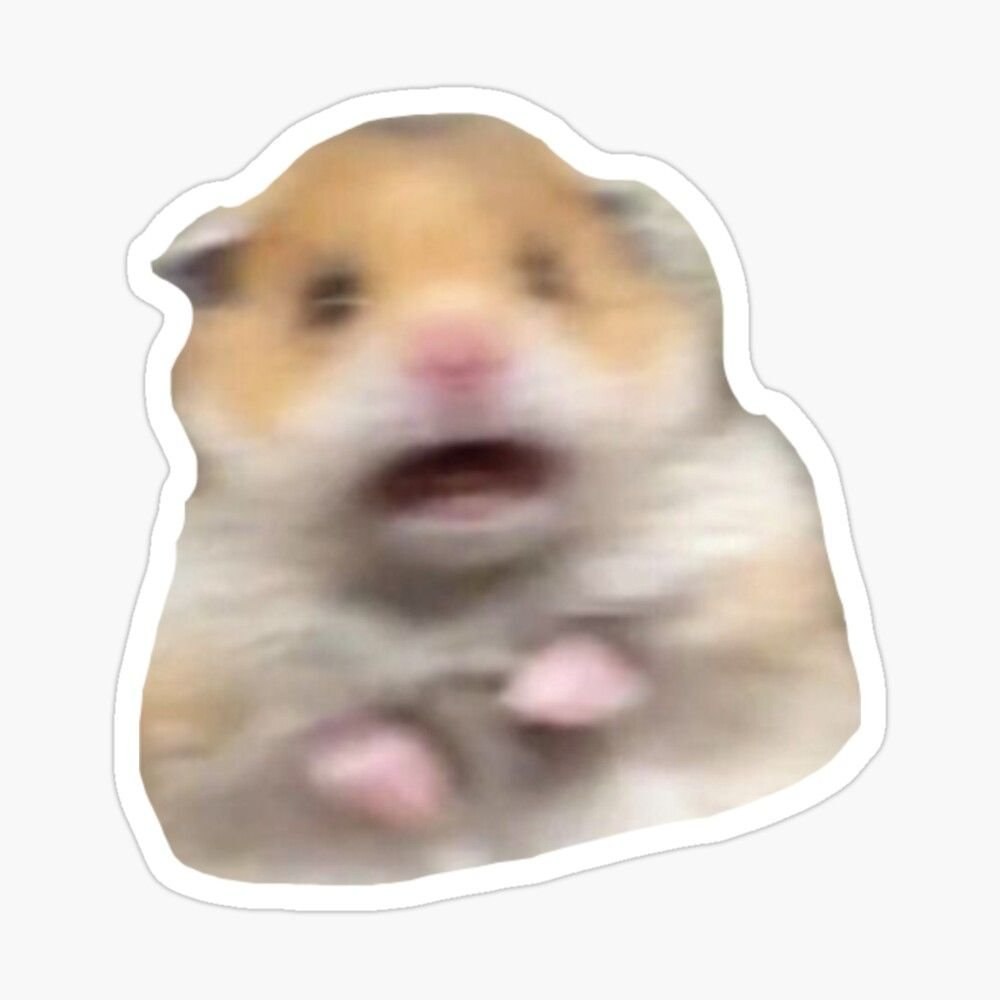 Листоухий хомячок дарвина