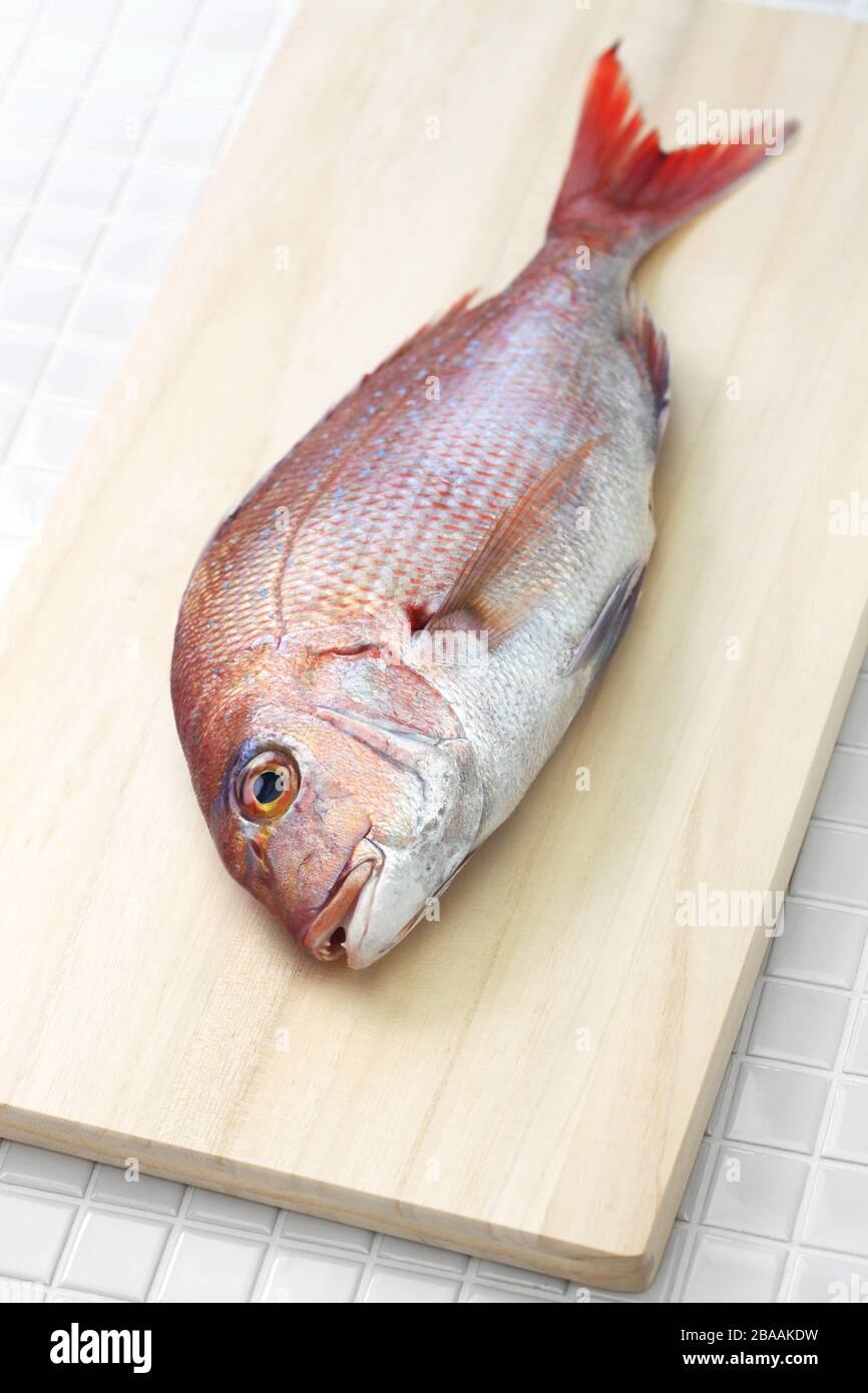 Лещ розовый морской