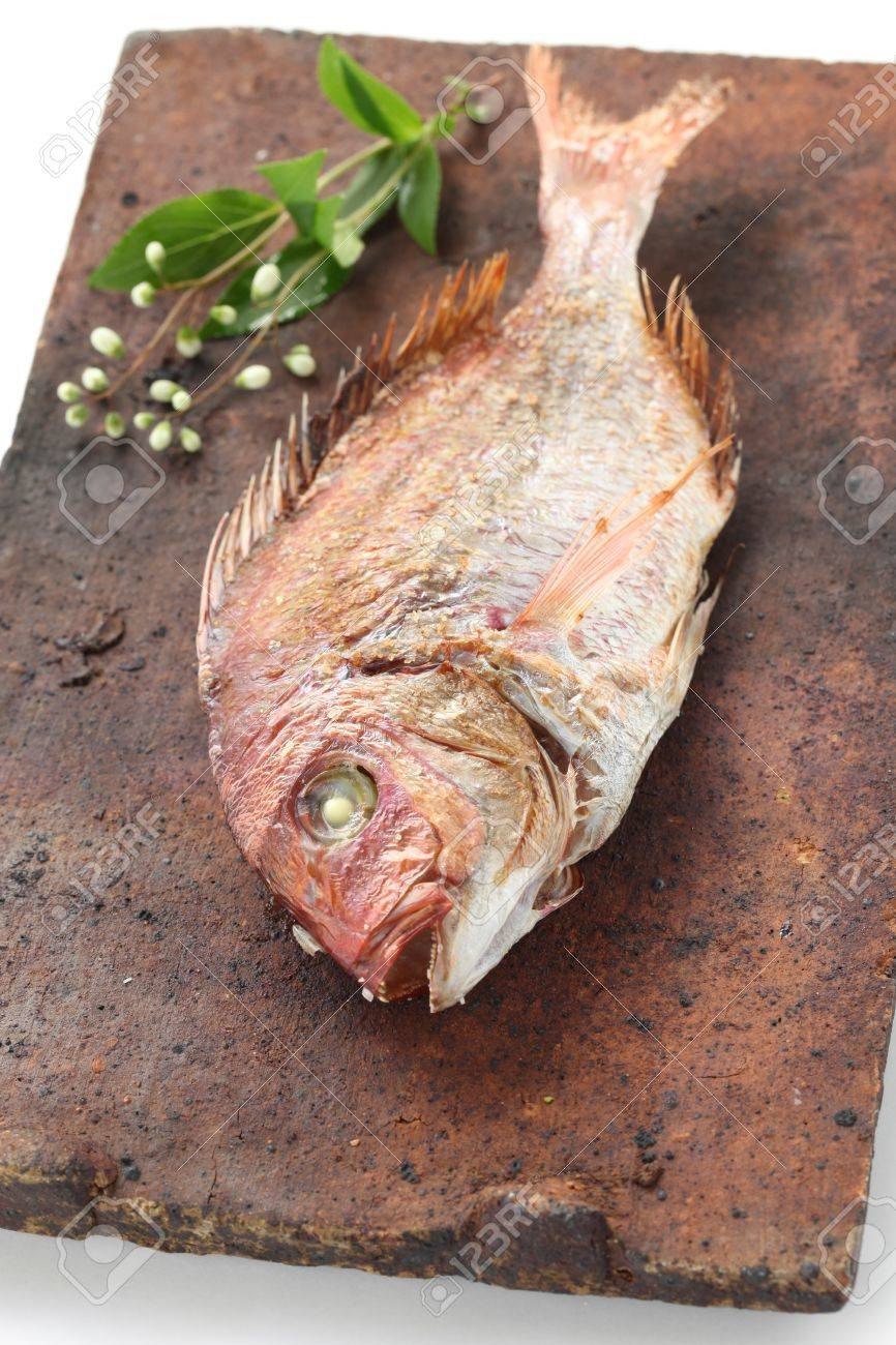 Красный морской лещ