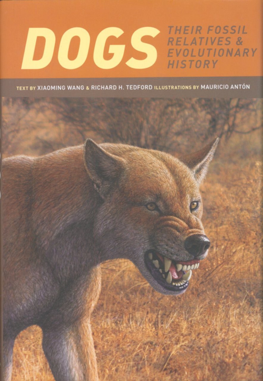 Книга anton Mauricio Dogs