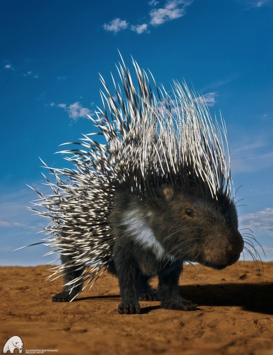 Гребенчатый Дикобраз hystrix cristata