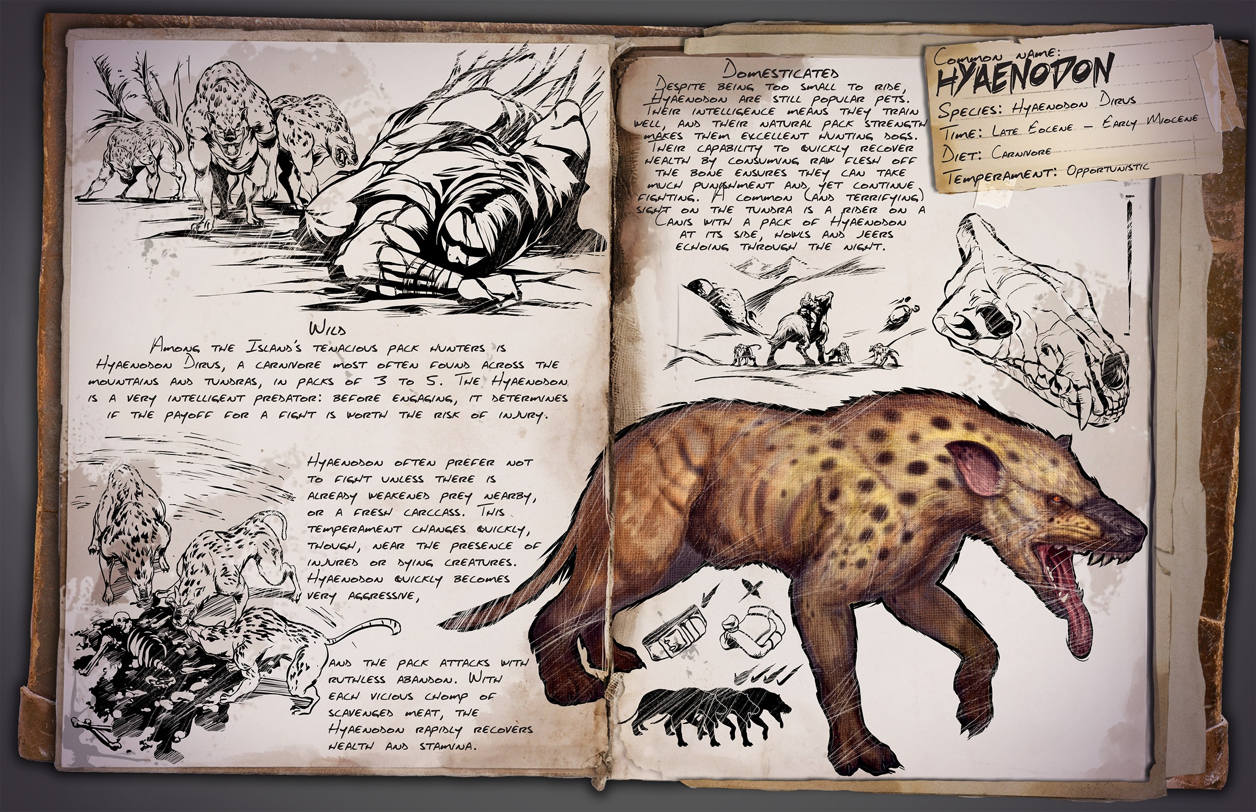 Ark survival evolved существа. Книжка динозавры арксурвайвол. Ark Survival Evolved книга динозавров. АРК сурвивал Гиенодон. Животные из АРК сурвивал эволвед.