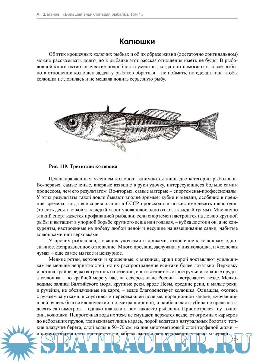 Морская колюшка