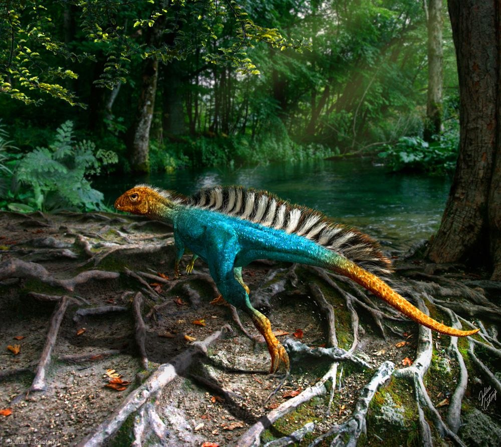 Julius Csotonyi