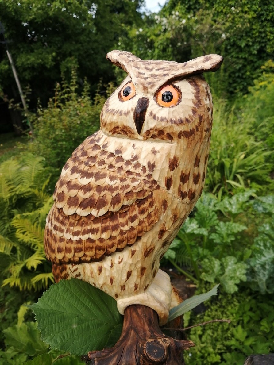 Коромандельский филин