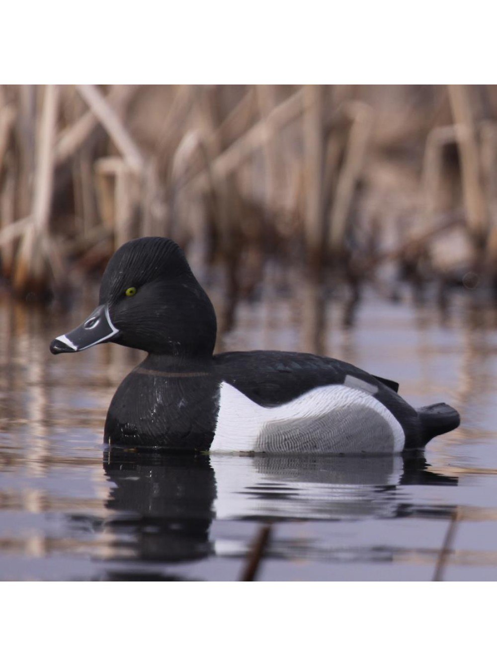Чучела шилохвости Greenhead Gear ghg