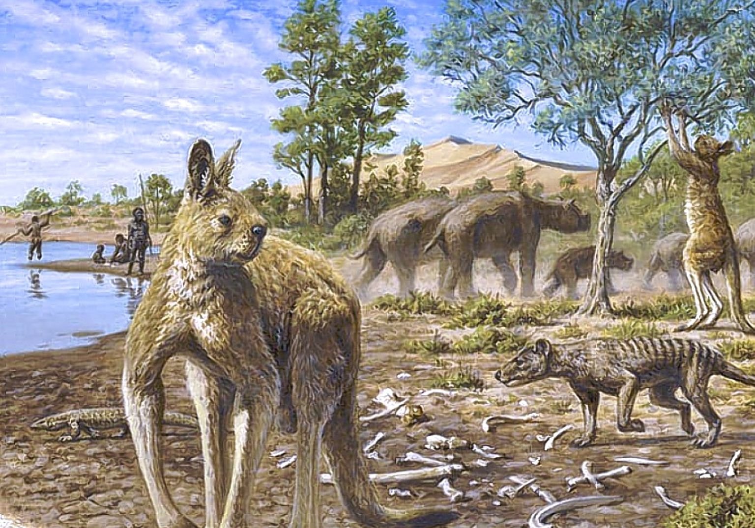 Первые млекопитающие появились в. Мегафауна Австралии. Мегафауна Австралии вымершая. Сумчатые палеогена. Кайнозойская мегафауна.
