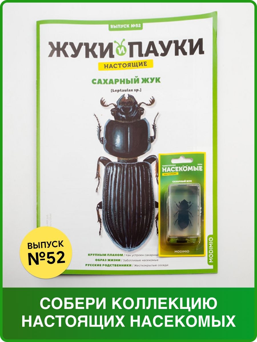 Сахарные жуки
