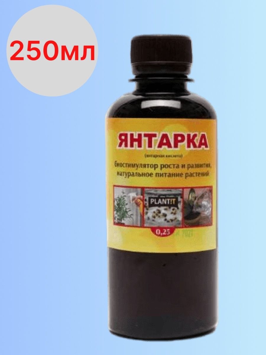 Янтарки