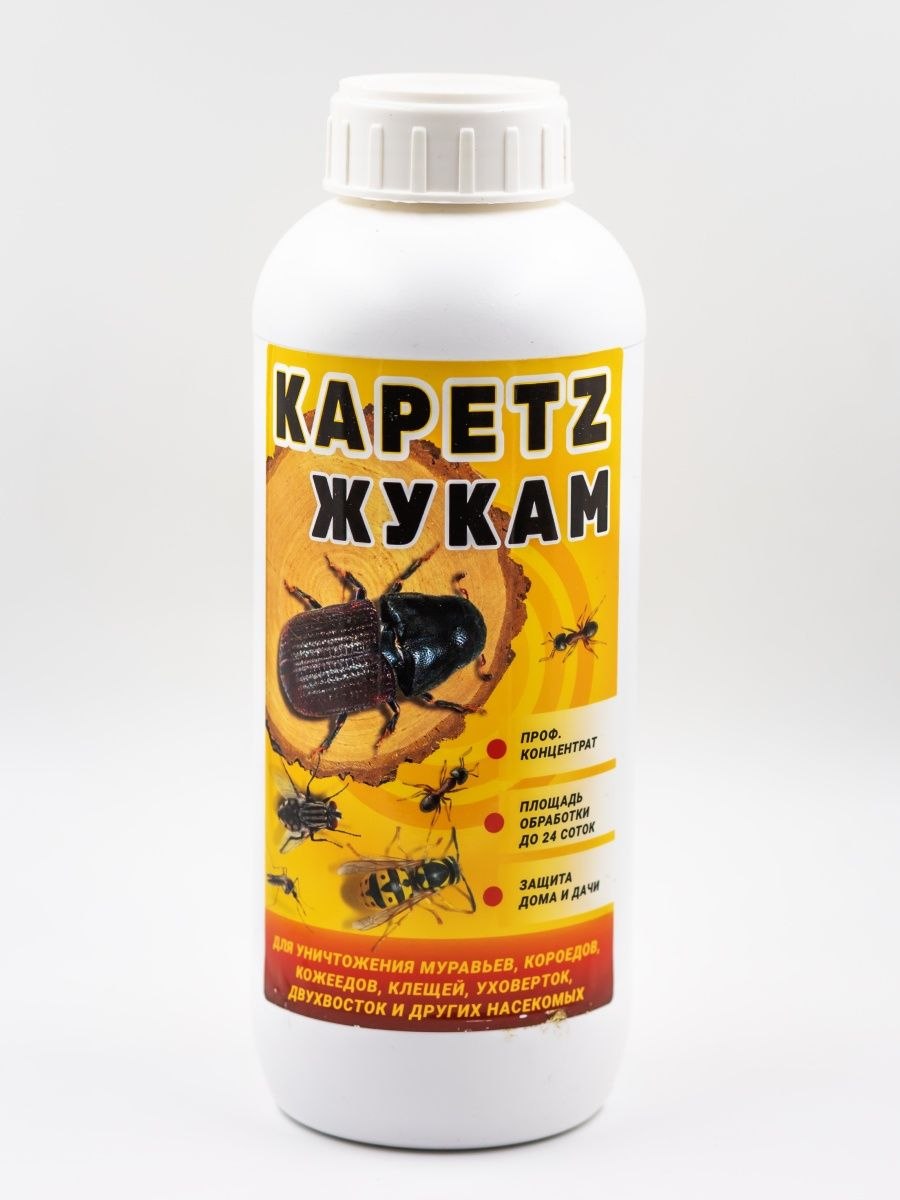 Кожеед шеффера