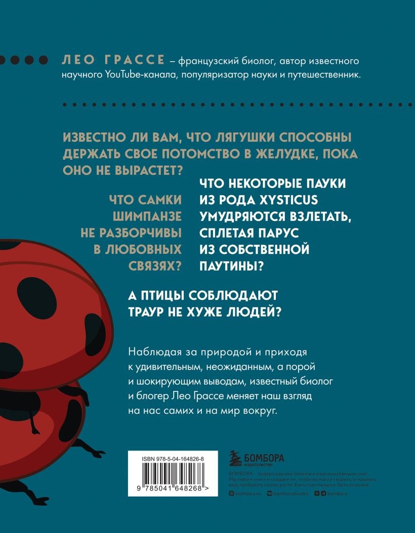 Ксистикус