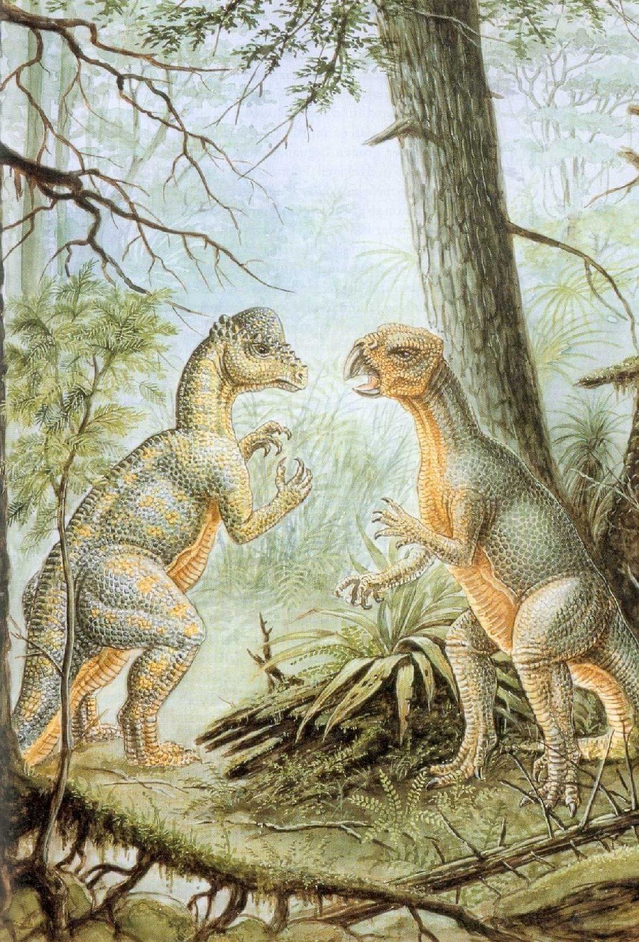 Динозавр Hypsilophodon