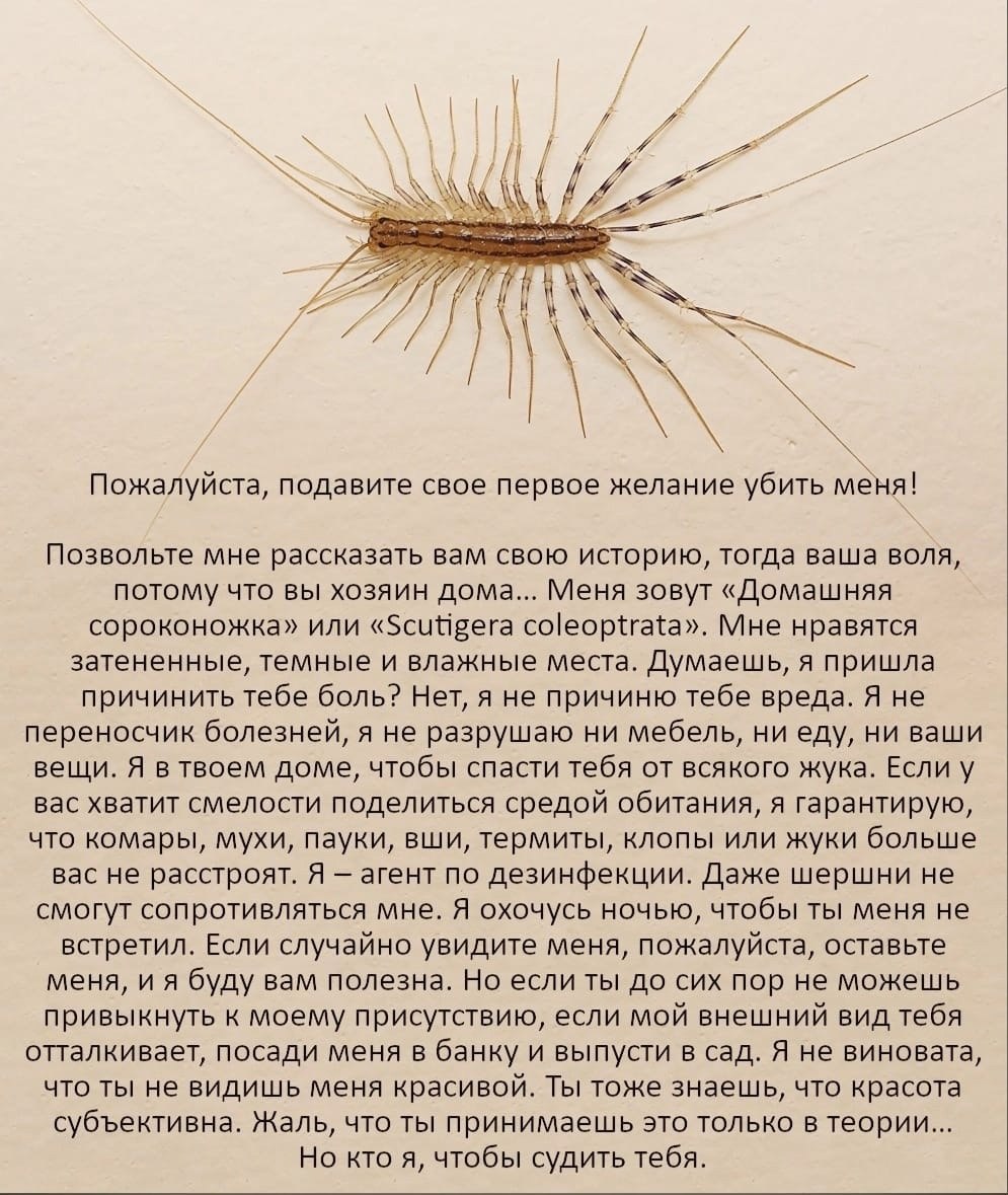 Многоножкки в красной книге московской области