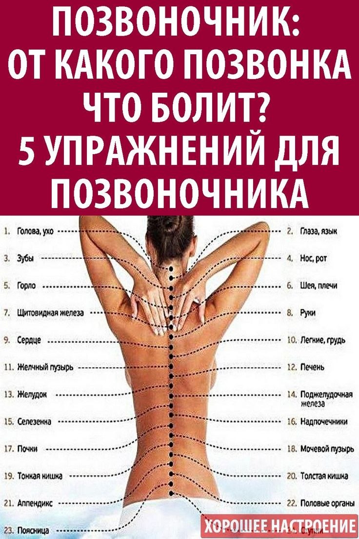 Точки на спине для массажа