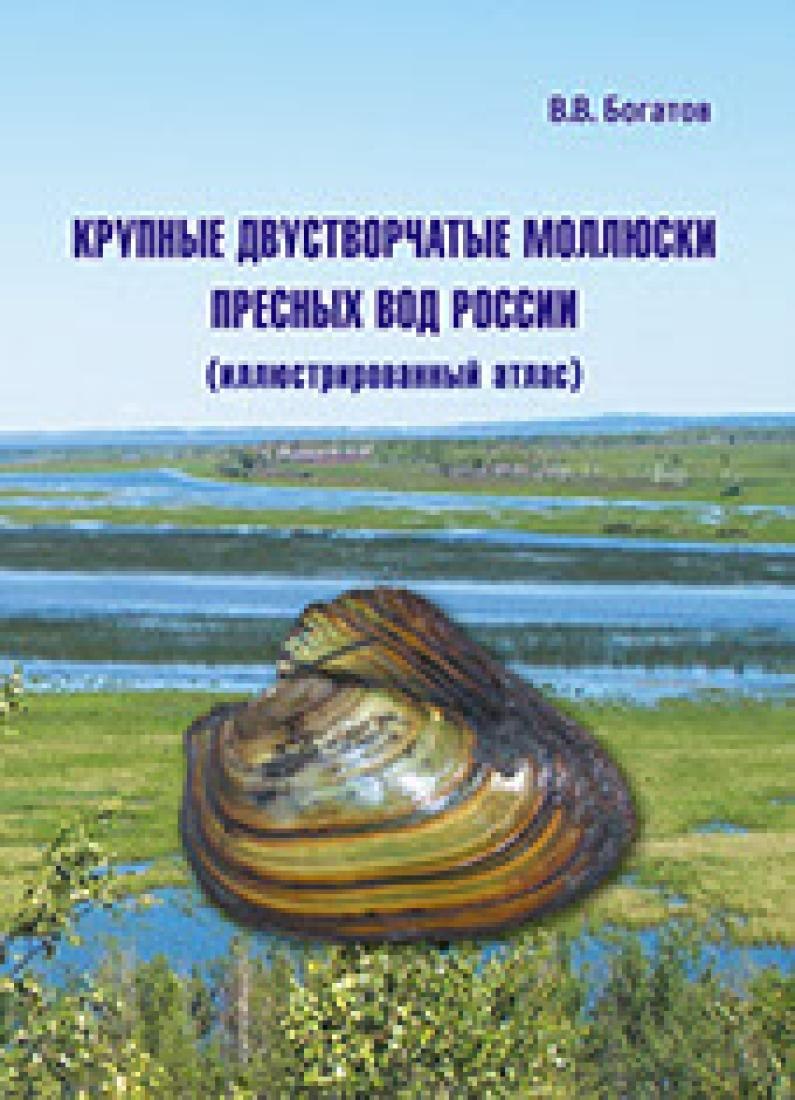 Моллюски в красной книге московской области
