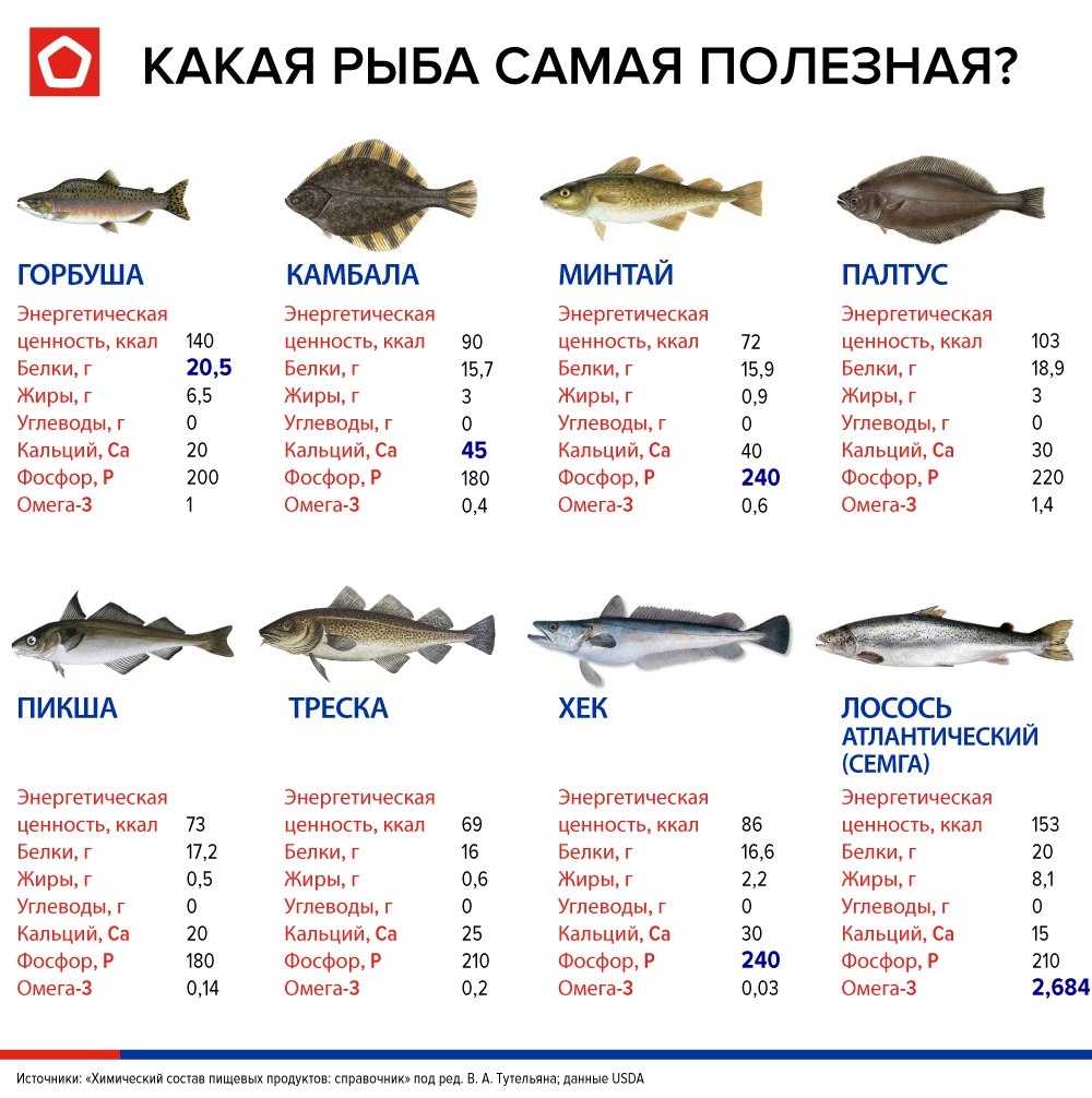 Самые полезные сорта рыбы