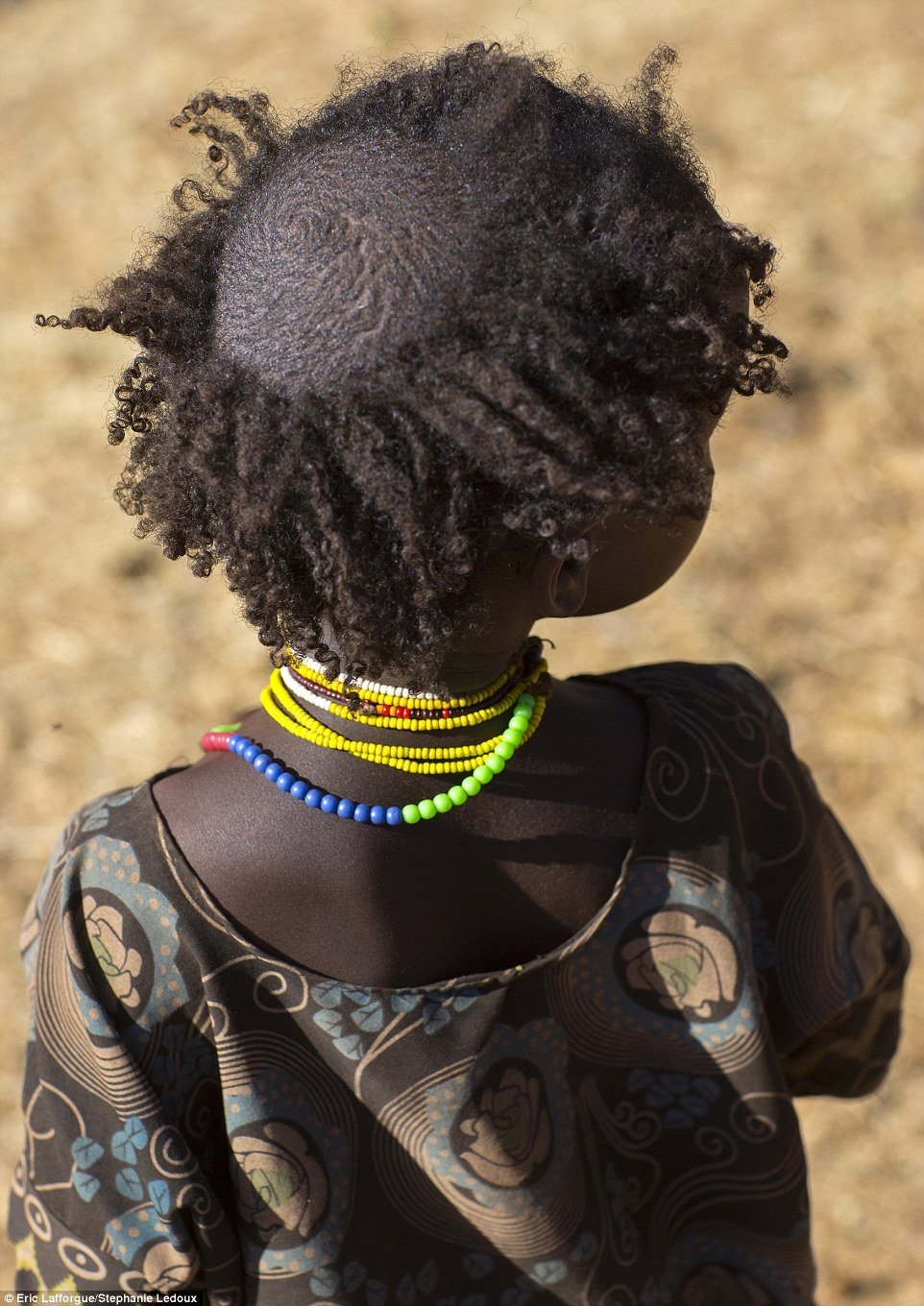 Волосатики африки