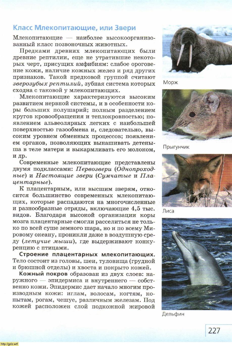Книги по биологии млекопитающие