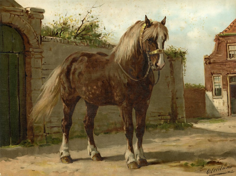 Отто Эрельман Otto Eerelman (1839-1926)