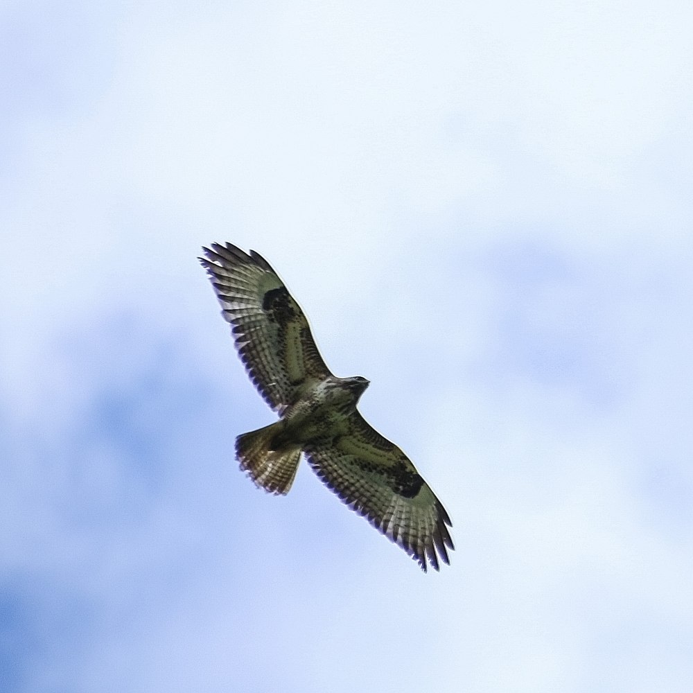 Маркиян Канюка фото