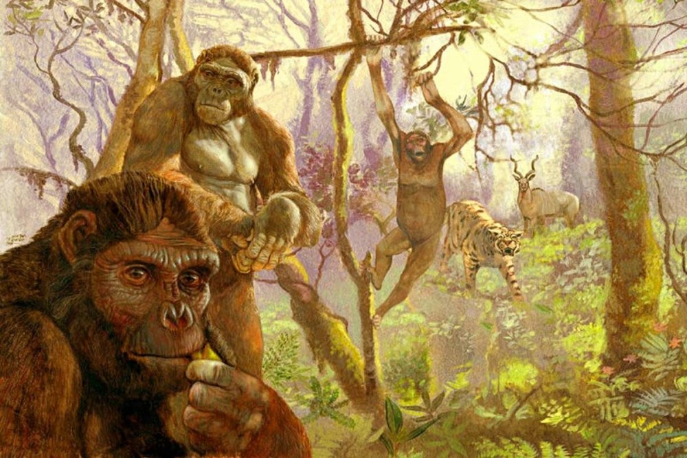 Гоминид Ardipithecus ramidus