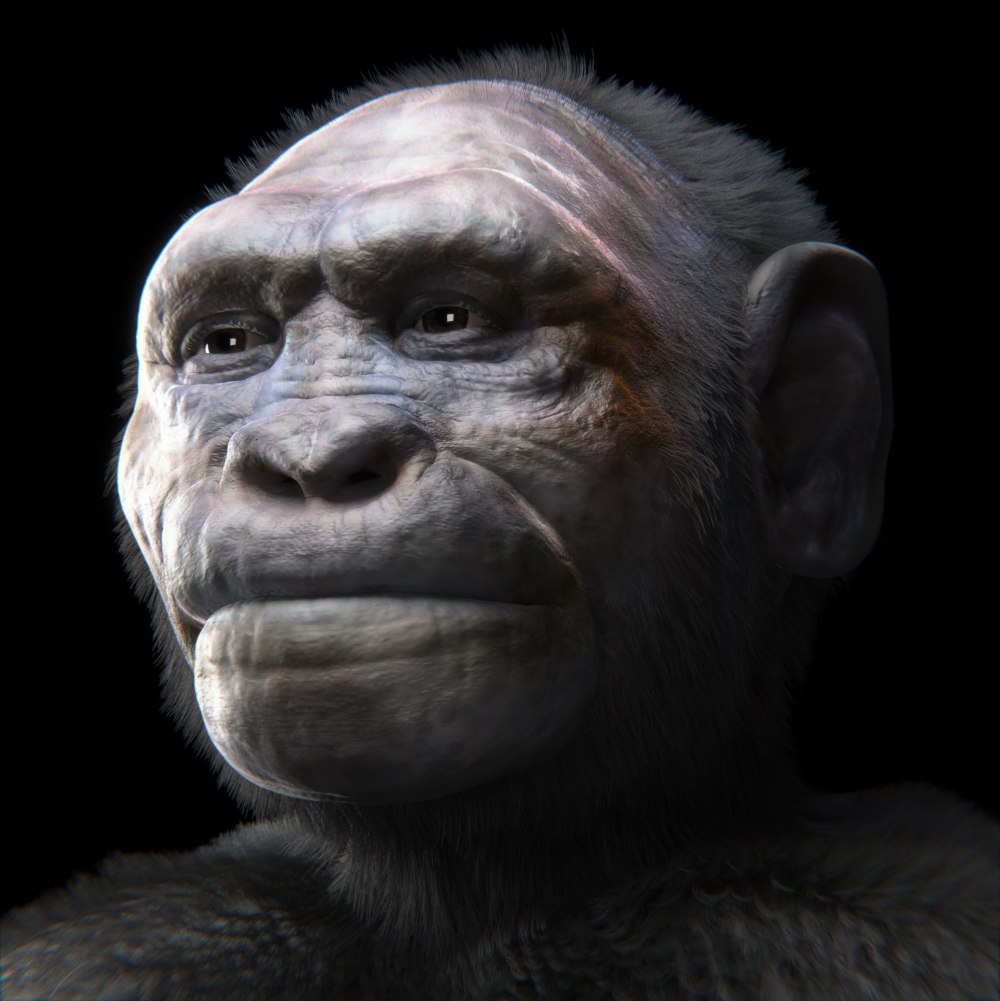 Homo georgicus реконструкция