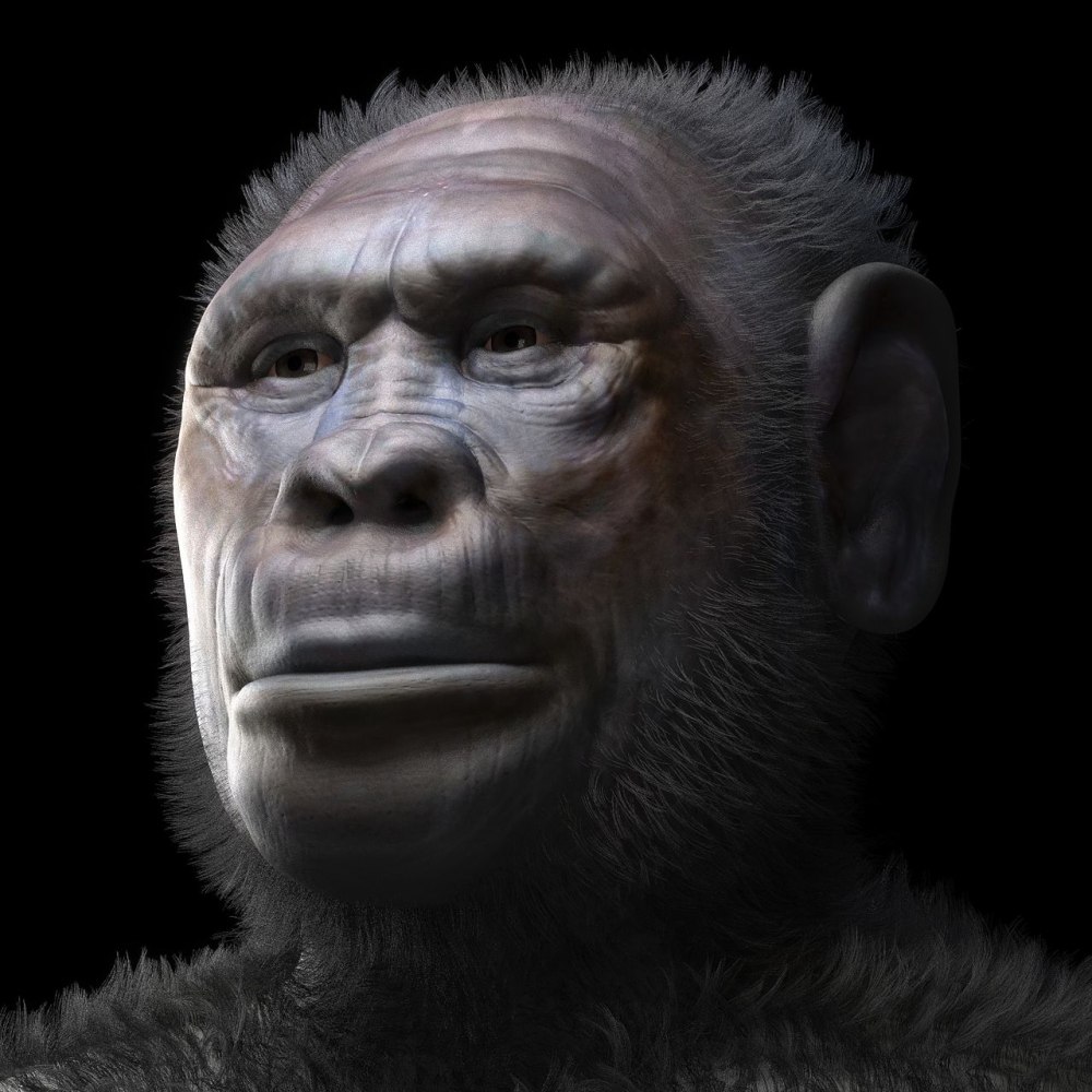 Человек грузинский homo georgicus