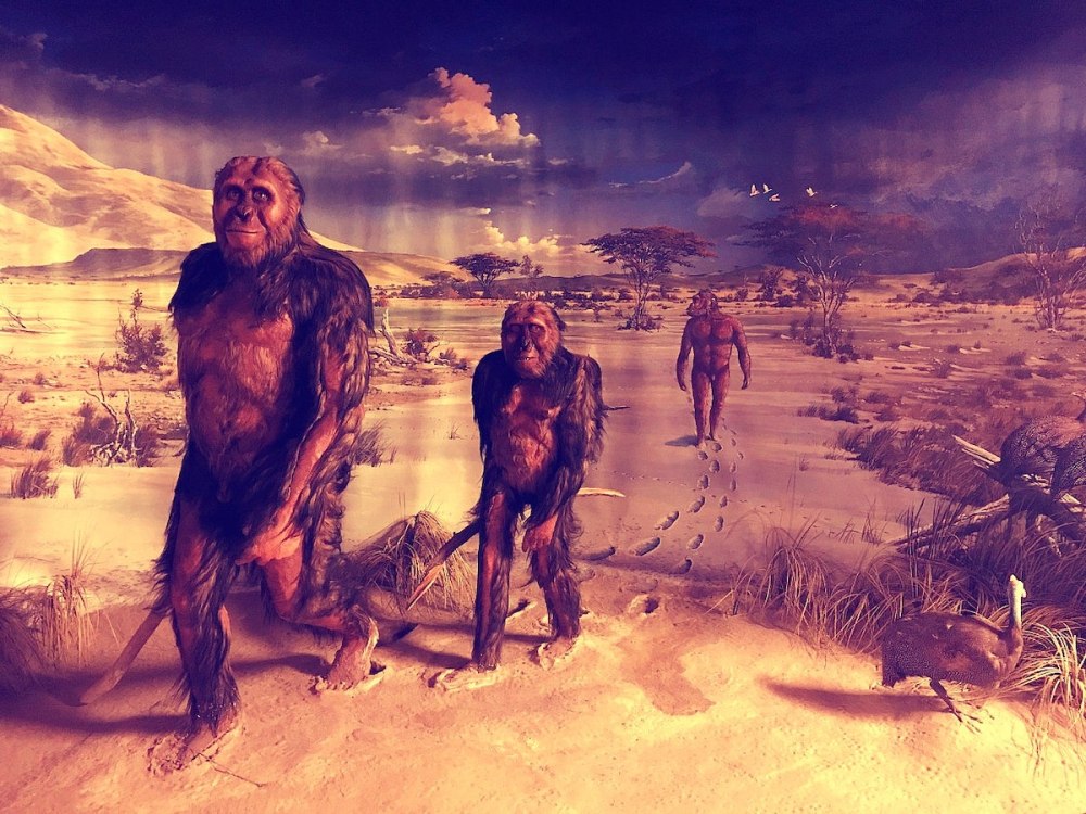 ANCESTORS: the humankind Odyssey австралопитек