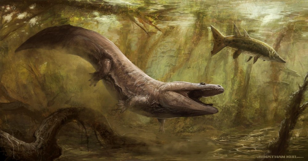 Metoposaurus algarvensis