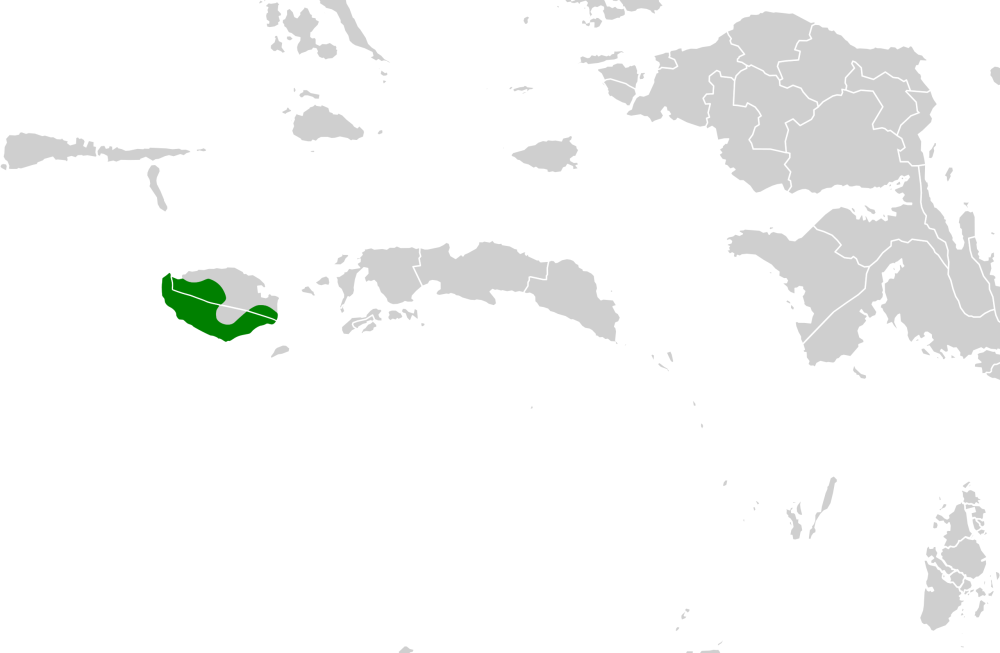 Ареал голубей