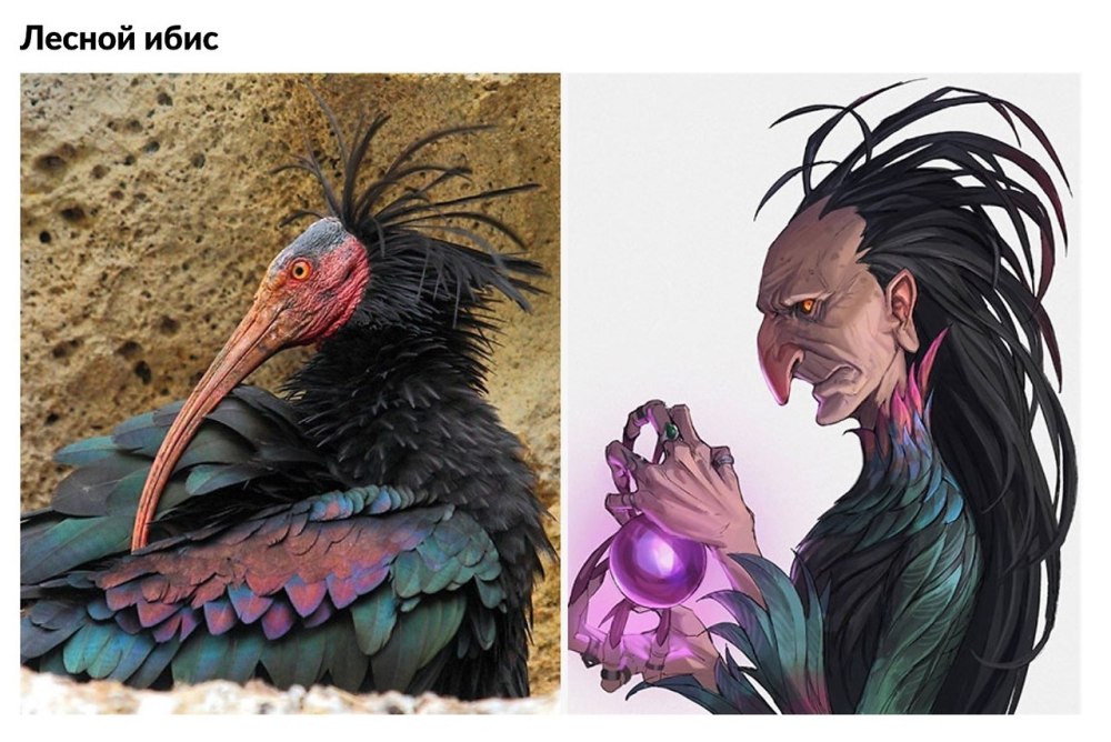 Корейский художник превратил животных в персонажей аниме ворон