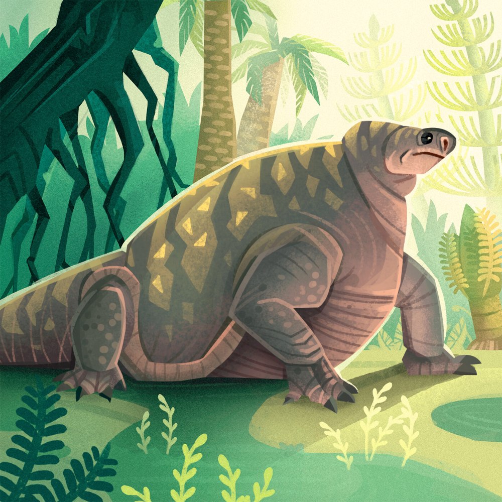 Cotylorhynchus Romeri