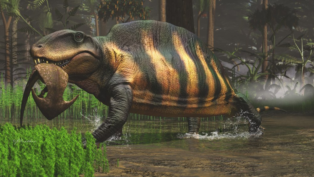 Diplocaulus salamandroides