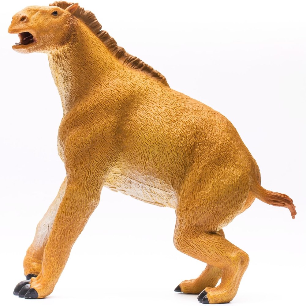 Уинтатерий Collecta