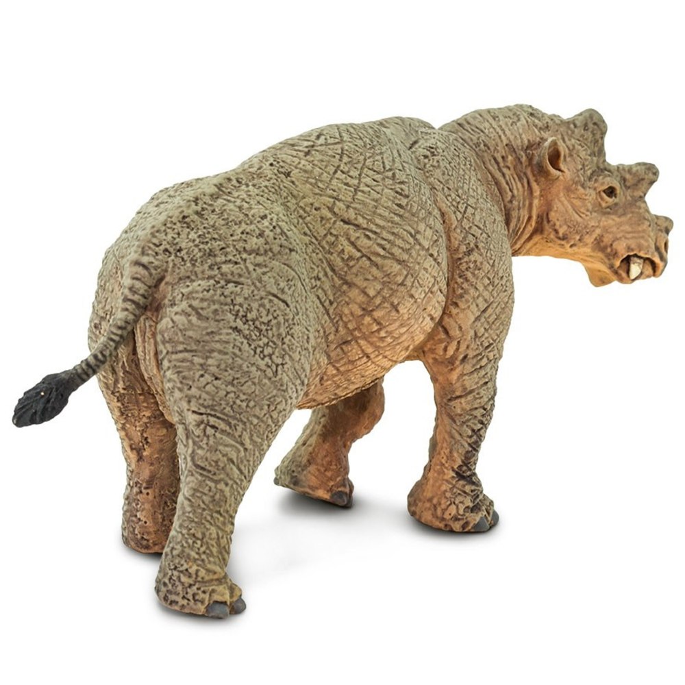 Уинтатерий Collecta
