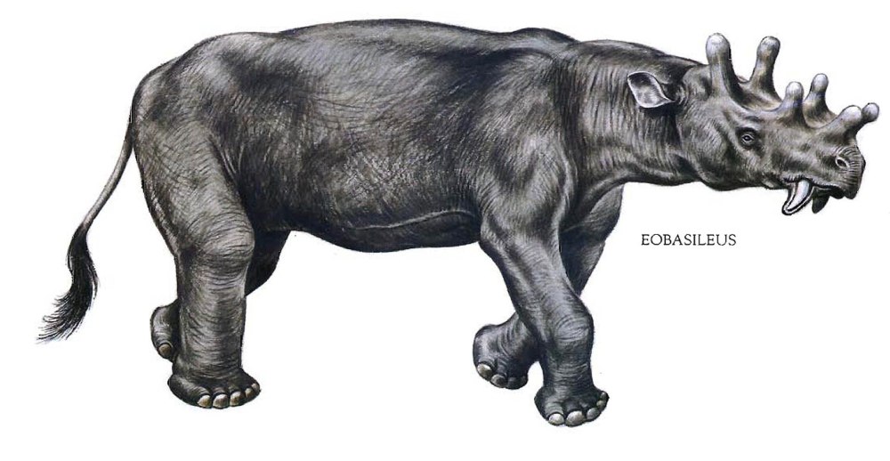 Eobasileus Эобазилевс